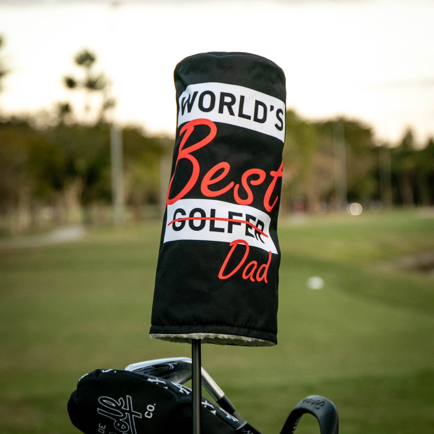 World's Best Dad Driver Cover